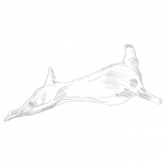 Belgian rabbit meat