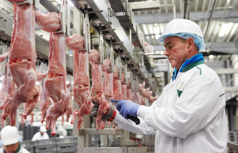 Meer over konijnenvlees